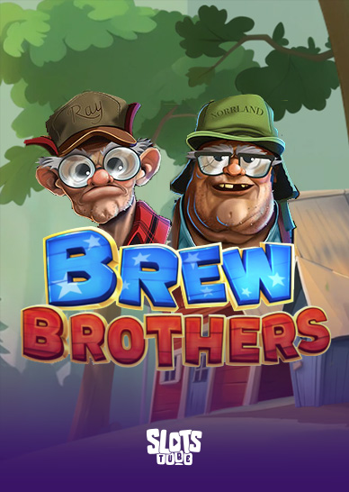 Brew Brothers Recenze