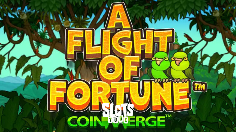 A Flight of Fortune Bezplatná ukázka