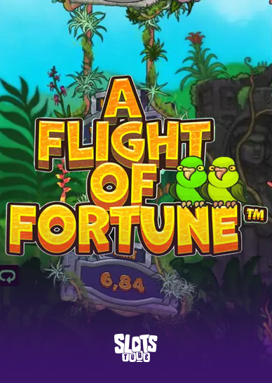 A Flight of Fortune Recenze hracích automatů