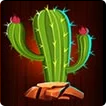 Beef Up The Bonus Symbol kaktusu