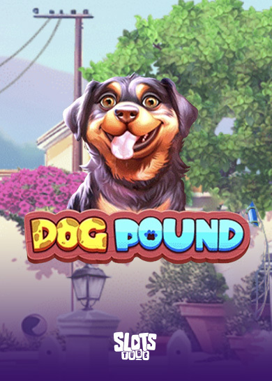 Dog Pound Recenze hracích automatů